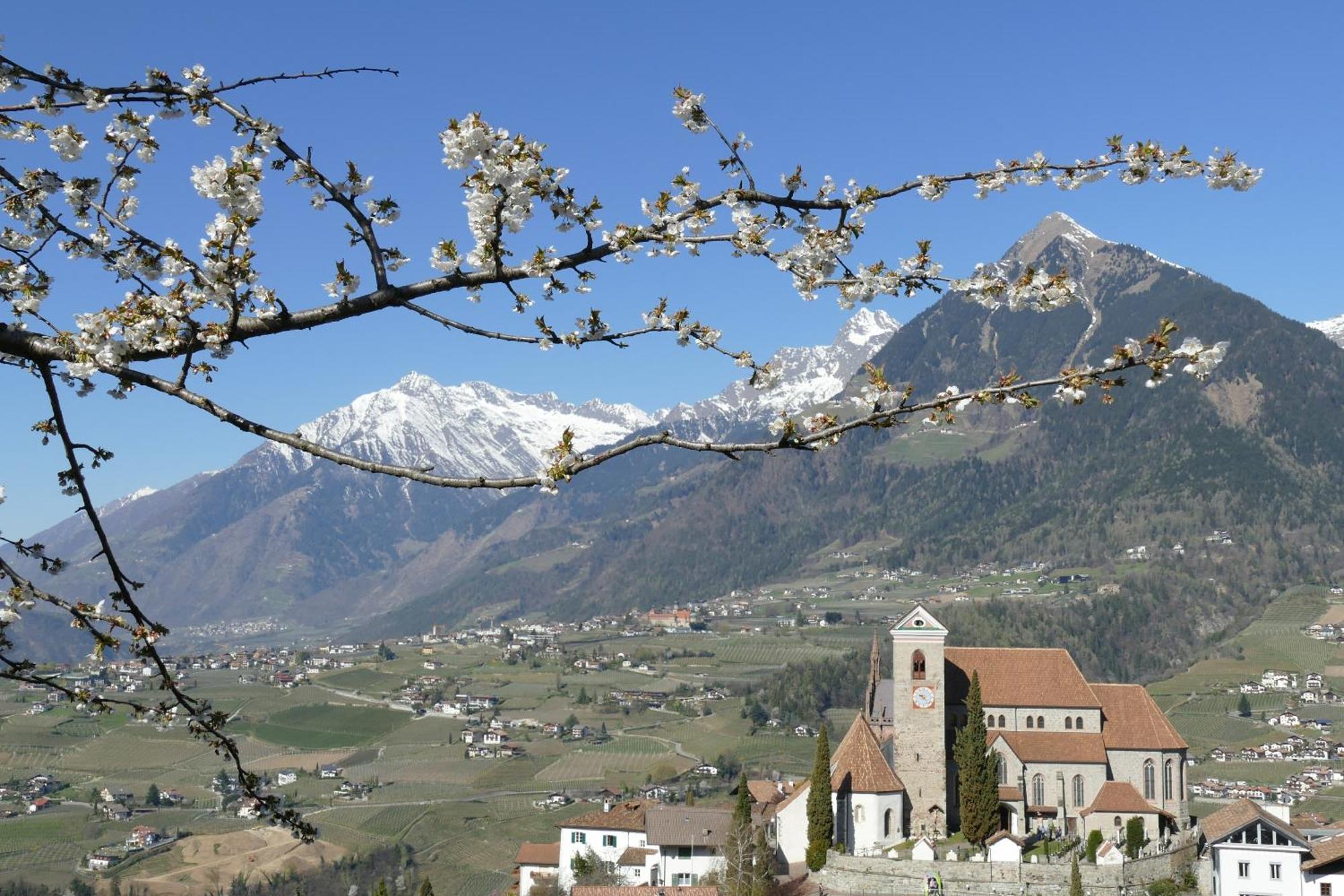 Hotel Sunnwies Scena Esterno foto